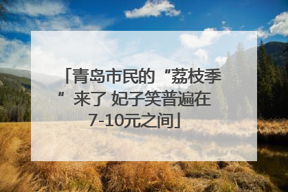 青岛市民的“荔枝季”来了 妃子笑普遍在7-10元之间