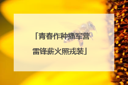 青春作种播军营 雷锋薪火照戎装