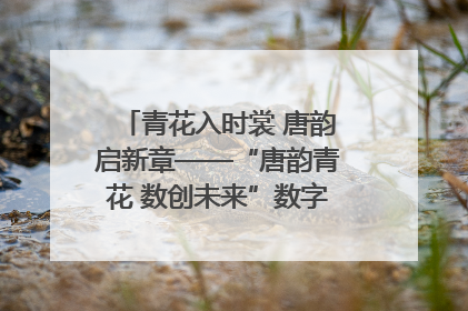 青花入时裳 唐韵启新章——“唐韵青花 数创未来”数字文创设计大赛启幕
