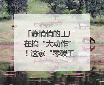 静悄悄的工厂在搞“大动作”！这家“零碳工厂”以“三创三增”探索共富新路径｜网络名人四川行