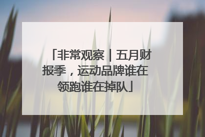 非常观察｜五月财报季，运动品牌谁在领跑谁在掉队