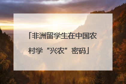 非洲留学生在中国农村学“兴农”密码