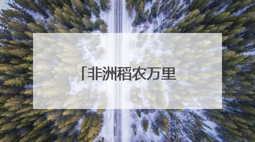 非洲稻农万里赴湘祭拜袁老：“老师，冈比亚的稻子熟了”