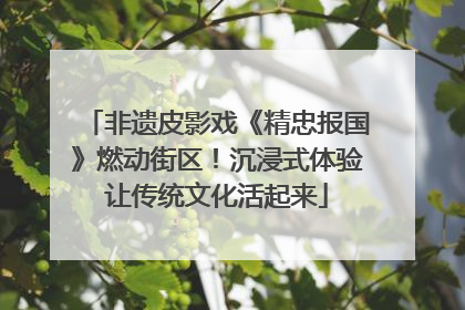 非遗皮影戏《精忠报国》燃动街区！沉浸式体验让传统文化活起来
