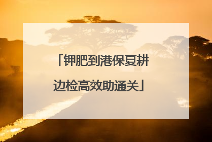 钾肥到港保夏耕 边检高效助通关