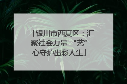 银川市西夏区：汇聚社会力量 “艺”心守护出彩人生