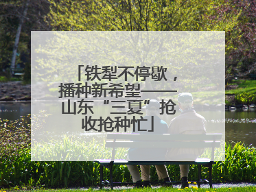 铁犁不停歇，播种新希望——山东“三夏”抢收抢种忙