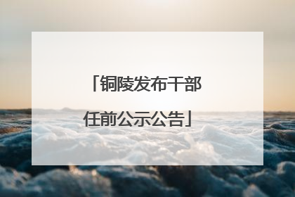 铜陵发布干部任前公示公告