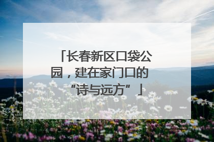 长春新区口袋公园，建在家门口的“诗与远方”