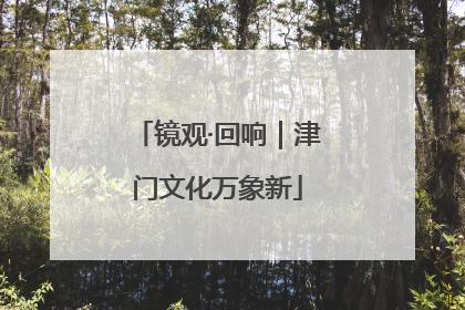 镜观·回响｜津门文化万象新