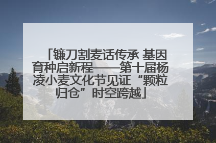 镰刀割麦话传承 基因育种启新程——第十届杨凌小麦文化节见证“颗粒归仓”时空跨越