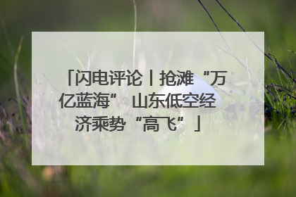 闪电评论丨抢滩“万亿蓝海” 山东低空经济乘势“高飞”
