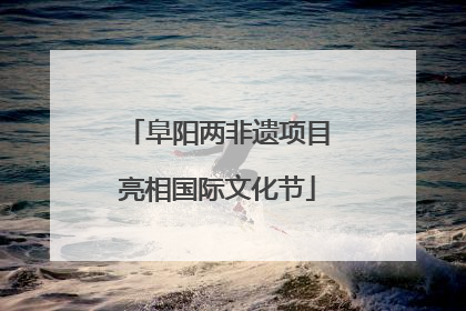 阜阳两非遗项目亮相国际文化节