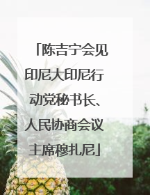 陈吉宁会见印尼大印尼行动党秘书长、人民协商会议主席穆扎尼