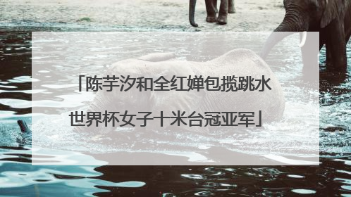 陈芋汐和全红婵包揽跳水世界杯女子十米台冠亚军