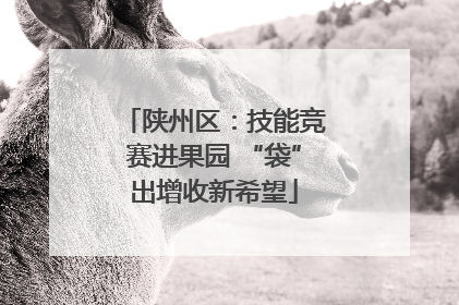 陕州区：技能竞赛进果园 “袋”出增收新希望