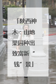 陕西神木：山地果园种出致富新“钱”景