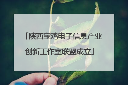 陕西宝鸡电子信息产业创新工作室联盟成立
