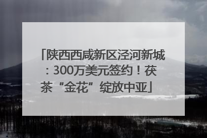 陕西西咸新区泾河新城：300万美元签约！茯茶“金花”绽放中亚