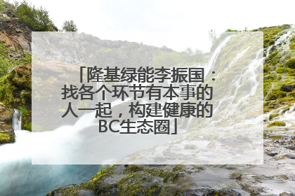 隆基绿能李振国：找各个环节有本事的人一起，构建健康的BC生态圈