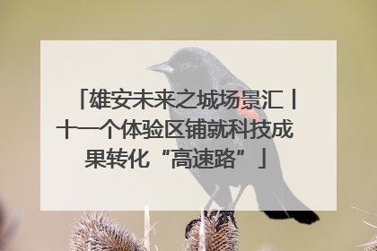 雄安未来之城场景汇丨十一个体验区铺就科技成果转化“高速路”