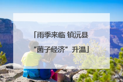 雨季来临 镇沅县“菌子经济”升温