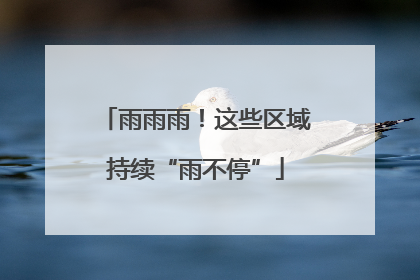 雨雨雨！这些区域持续“雨不停”