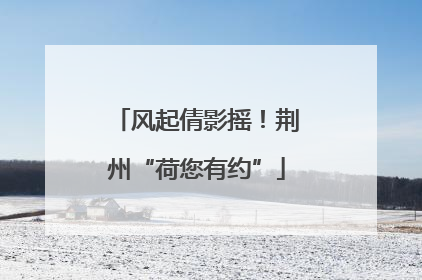 风起倩影摇！荆州“荷您有约”