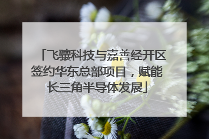 飞骧科技与嘉善经开区签约华东总部项目，赋能长三角半导体发展
