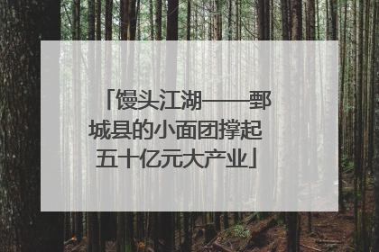 馒头江湖——鄄城县的小面团撑起五十亿元大产业