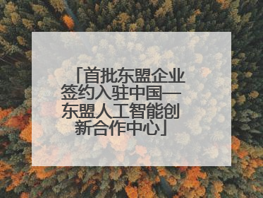 首批东盟企业签约入驻中国—东盟人工智能创新合作中心