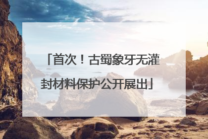 首次！古蜀象牙无灌封材料保护公开展出