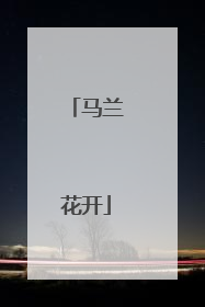 马兰花开