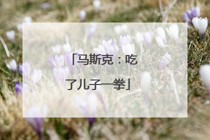 马斯克：吃了儿子一拳