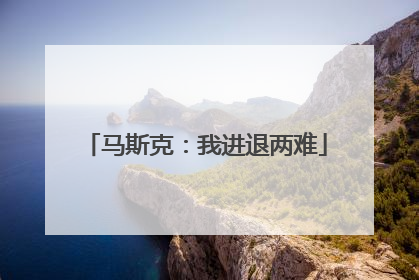马斯克：我进退两难