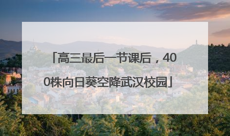 高三最后一节课后，400株向日葵空降武汉校园