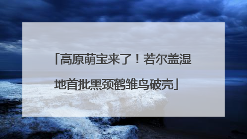 高原萌宝来了！若尔盖湿地首批黑颈鹤雏鸟破壳