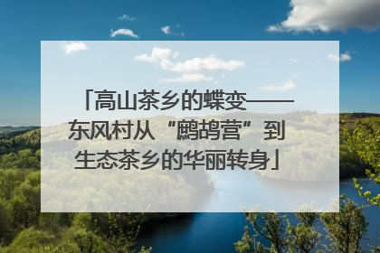 高山茶乡的蝶变——东风村从“鹧鸪营”到生态茶乡的华丽转身