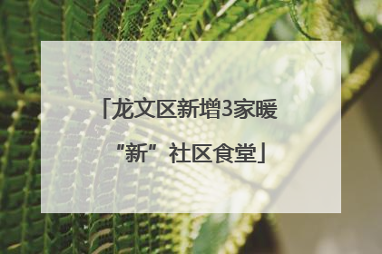 龙文区新增3家暖“新”社区食堂
