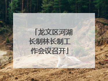 龙文区河湖长制林长制工作会议召开