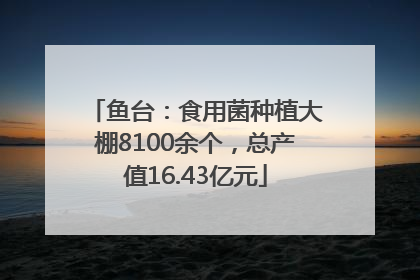 鱼台：食用菌种植大棚8100余个，总产值16.43亿元