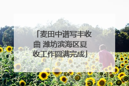 麦田中谱写丰收曲 潍坊滨海区夏收工作圆满完成
