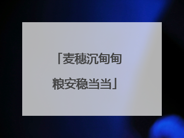 麦穗沉甸甸 粮安稳当当