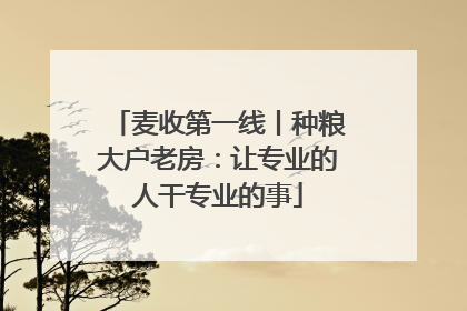 麦收第一线丨种粮大户老房：让专业的人干专业的事