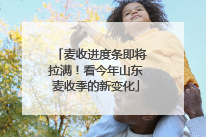 麦收进度条即将拉满！看今年山东麦收季的新变化