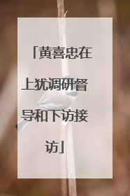 黄喜忠在上犹调研督导和下访接访