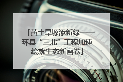 黄土旱塬添新绿——环县“三北”工程加速绘就生态新画卷