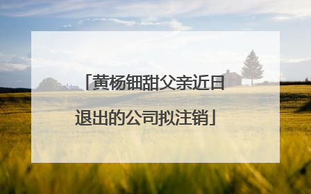 黄杨钿甜父亲近日退出的公司拟注销