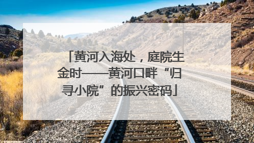 黄河入海处，庭院生金时——黄河口畔“归寻小院”的振兴密码