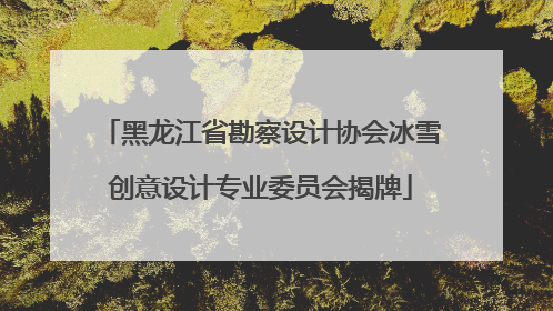 黑龙江省勘察设计协会冰雪创意设计专业委员会揭牌